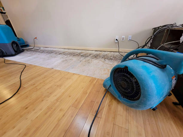 Professional Structural Drying technician working in Dunbar, WV